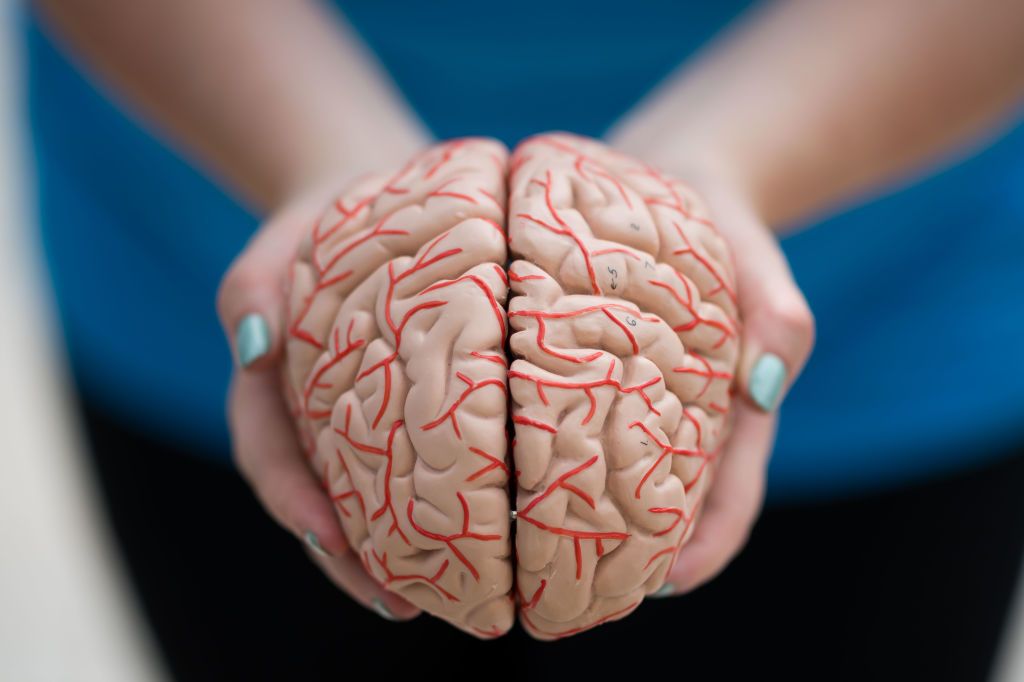 تطوير فحص جديد يكشف إصابات الدماغ في 15 دقيقة فقط